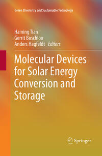 Molecular Devices for Solar Energy Conversion and Storage