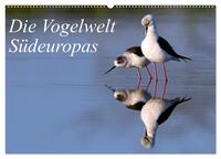 Die Vogelwelt Südeuropas (Wandkalender 2025 DIN A2 quer), CALVENDO Monatskalender