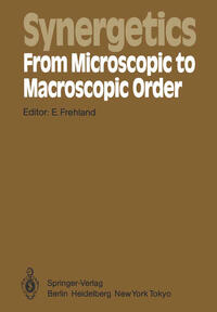 Synergetics — From Microscopic to Macroscopic Order