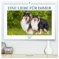 Eine Liebe für immer - Collies (hochwertiger Premium Wandkalender 2025 DIN A2 quer), Kunstdruck in Hochglanz