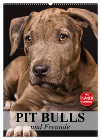 Pit Bulls und Freunde (Wandkalender 2025 DIN A2 hoch), CALVENDO Monatskalender