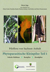 Pilzflora von Sachsen-Anhalt – Phytoparasitische Kleinpilze