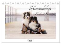 Herzensshelties - Shetland Sheepdogs (Tischkalender 2025 DIN A5 quer), CALVENDO Monatskalender