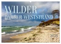 Wilder Darßer Weststrand (Wandkalender 2026 DIN A2 quer), CALVENDO Monatskalender