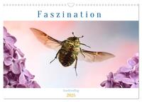 Faszination Insektenflug (Wandkalender 2025 DIN A3 quer), CALVENDO Monatskalender