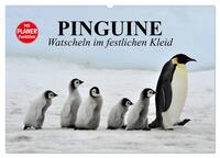 Pinguine - Watscheln im festlichen Kleid (Wandkalender 2025 DIN A2 quer), CALVENDO Monatskalender