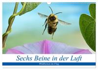 Sechs Beine in der Luft - Wildbienen im Flug (Wandkalender 2025 DIN A3 quer), CALVENDO Monatskalender