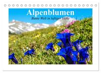 Alpenblumen. Bunte Welt in luftiger Höhe (Tischkalender 2025 DIN A5 quer), CALVENDO Monatskalender