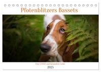 Der Basset, eine LANGE und besondere Liebe (Tischkalender 2025 DIN A5 quer), CALVENDO Monatskalender