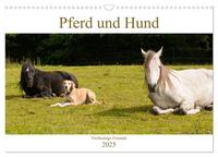 Pferd und Hund - Vierbeinige Freunde (Wandkalender 2025 DIN A3 quer), CALVENDO Monatskalender