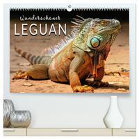 Wunderschöner Leguan (hochwertiger Premium Wandkalender 2025 DIN A2 quer), Kunstdruck in Hochglanz