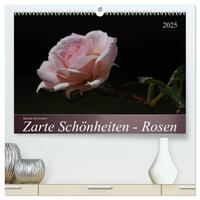 Zarte Schönheiten - Rosen (hochwertiger Premium Wandkalender 2025 DIN A2 quer), Kunstdruck in Hochglanz