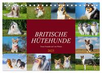 Britische Hütehunde - Treue Freunde auf vier Pfoten (Tischkalender 2025 DIN A5 quer), CALVENDO Monatskalender