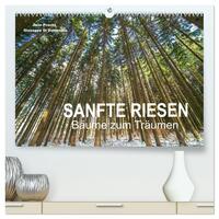 Sanfte Riesen - Bäume zum Träumen (hochwertiger Premium Wandkalender 2025 DIN A2 quer), Kunstdruck in Hochglanz