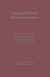 Aggregate Money Demand Functions