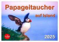 Papageitaucher auf Island (Wandkalender 2025 DIN A2 quer), CALVENDO Monatskalender