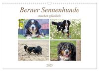 Berner Sennenhunde machen glücklich (Wandkalender 2025 DIN A3 quer), CALVENDO Monatskalender