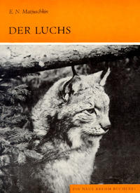 Der Luchs