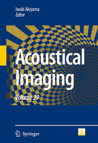 Acoustical Imaging