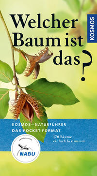 Welcher Baum ist das?