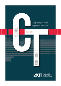 Charge Transport in DNA - Insights from Simulations