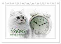 Katzen – Treue Begleiter (CH - Version) (Tischkalender 2025 DIN A5 quer), CALVENDO Monatskalender