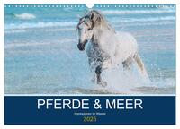 PFERDE & MEER (Wandkalender 2025 DIN A3 quer), CALVENDO Monatskalender