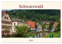 Schwarzwald (Wandkalender 2025 DIN A2 quer), CALVENDO Monatskalender