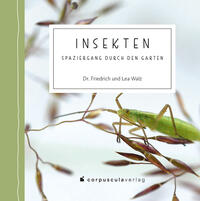 Insekten Spaziergang Durch Den Garten