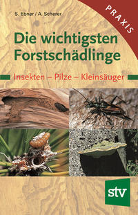 Die wichtigsten Forstschädlinge