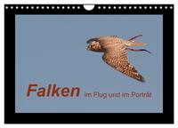 Falken im Flug und im Porträt (Wandkalender 2025 DIN A4 quer), CALVENDO Monatskalender