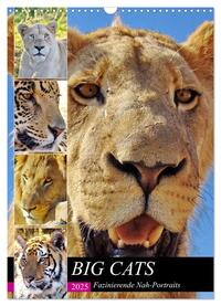 BIG CATS Fazinierende Nah-Portraits (Wandkalender 2025 DIN A3 hoch), CALVENDO Monatskalender