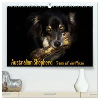 Australian Shepherd - Traum auf vier Pfoten (hochwertiger Premium Wandkalender 2025 DIN A2 quer), Kunstdruck in Hochglanz