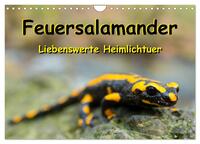 Feuersalamander - Liebenswerte Heimlichtuer (Wandkalender 2025 DIN A4 quer), CALVENDO Monatskalender