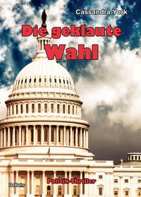 Die geklaute Wahl - Politik-Thriller