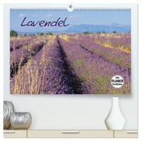 Lavendel (hochwertiger Premium Wandkalender 2025 DIN A2 quer), Kunstdruck in Hochglanz