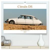 Citroën DS Göttin im Mittelrheintal (hochwertiger Premium Wandkalender 2025 DIN A2 quer), Kunstdruck in Hochglanz