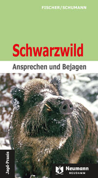 Schwarzwild