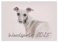 Windspiele 2025 (Wandkalender 2025 DIN A2 quer), CALVENDO Monatskalender