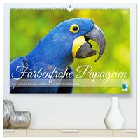 Farbenfrohe Papageien (hochwertiger Premium Wandkalender 2025 DIN A2 quer), Kunstdruck in Hochglanz