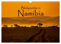 Blickpunkte in Namibia (Wandkalender 2025 DIN A3 quer), CALVENDO Monatskalender