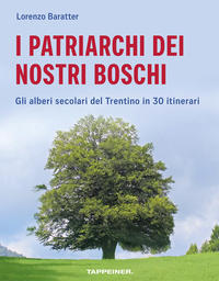 I patriarchi dei nostri boschi