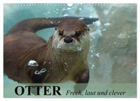 Otter. Frech, laut und clever (Wandkalender 2025 DIN A3 quer), CALVENDO Monatskalender