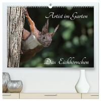 Artist im Garten. Das Eichhörnchen (hochwertiger Premium Wandkalender 2025 DIN A2 quer), Kunstdruck in Hochglanz