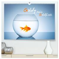 Goldy - mein Goldfisch (hochwertiger Premium Wandkalender 2025 DIN A2 quer), Kunstdruck in Hochglanz