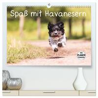 Spaß mit Havanesern (hochwertiger Premium Wandkalender 2025 DIN A2 quer), Kunstdruck in Hochglanz