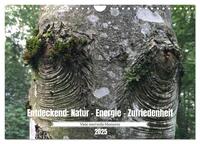 Entdeckend: Natur - Energie - Zufriedenheit (Wandkalender 2025 DIN A4 quer), CALVENDO Monatskalender