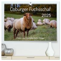 Coburger Fuchsschaf (hochwertiger Premium Wandkalender 2025 DIN A2 quer), Kunstdruck in Hochglanz