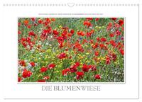 Emotionale Momente: Die Blumenwiese. (Wandkalender 2025 DIN A3 quer), CALVENDO Monatskalender