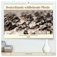 Deutschlands wildlebende Pferde (hochwertiger Premium Wandkalender 2025 DIN A2 quer), Kunstdruck in Hochglanz